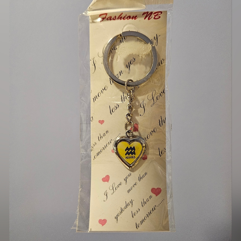 Aquarius Heart Keychain